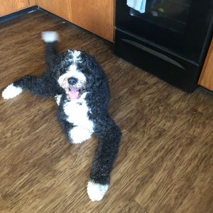 Meet your Posher, Ronna